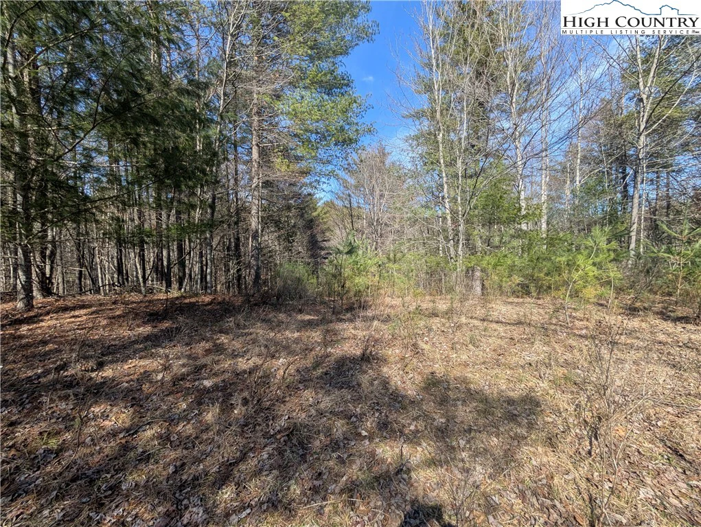 Image number 14 for the current listing