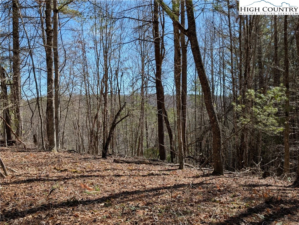 Image number 1 for the current listing