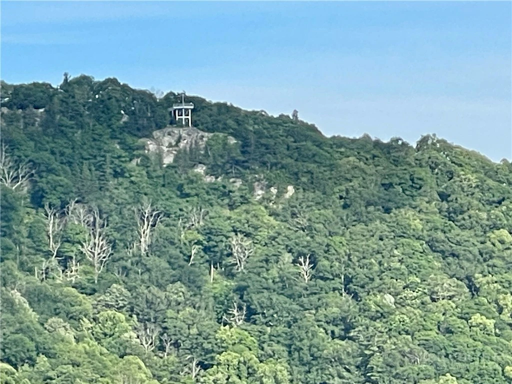 Image number 2 for the current listing