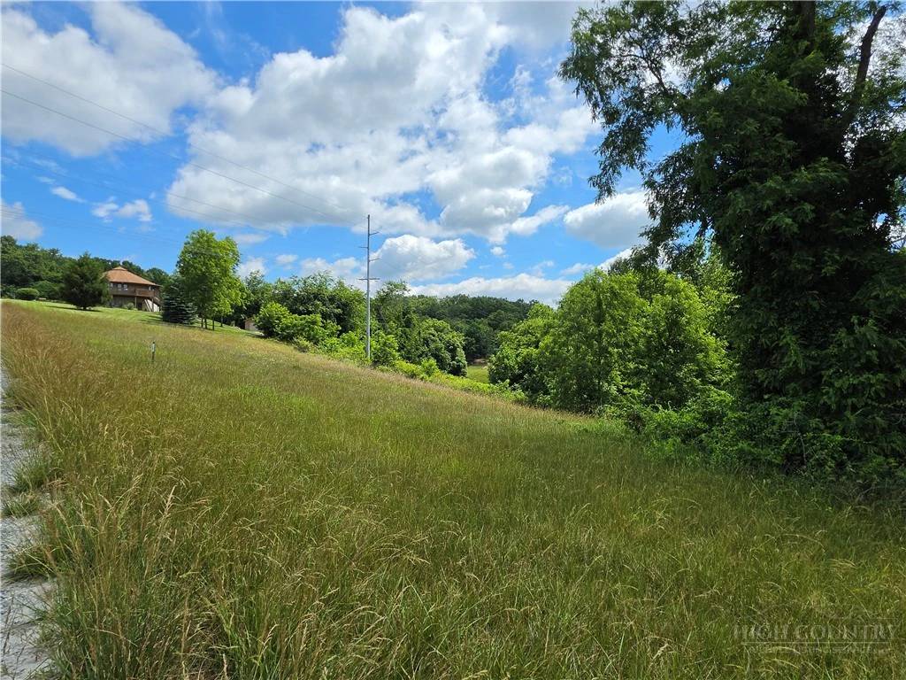 Image number 4 for the current listing