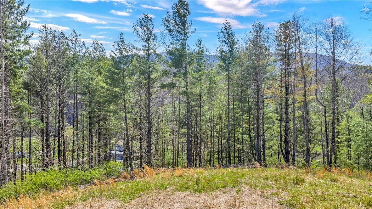 Image number 1 for the current listing