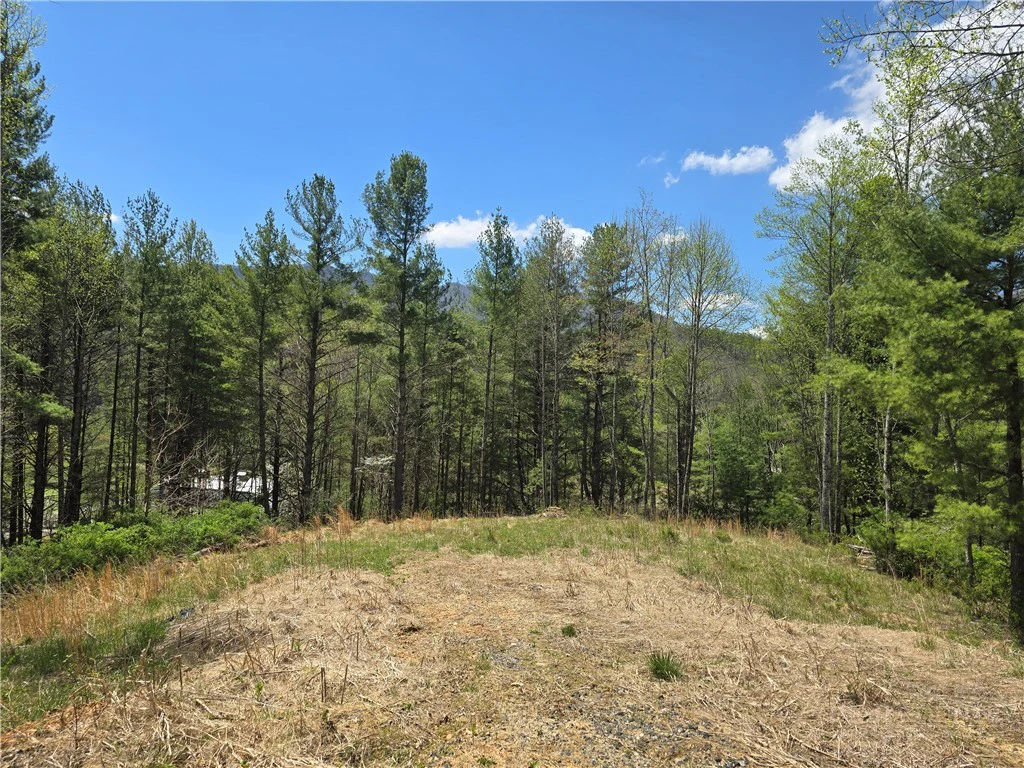 Image number 9 for the current listing