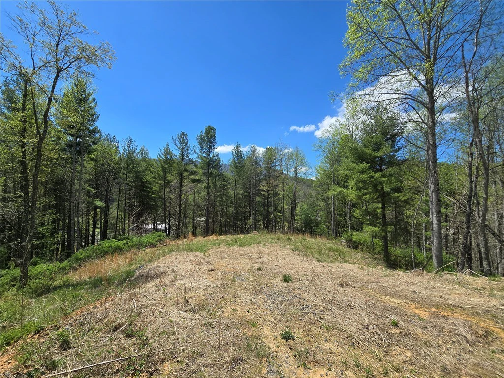 Image number 8 for the current listing