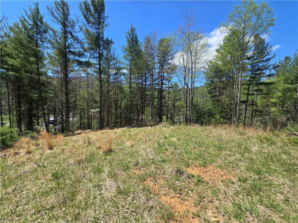 Image number 7 for the current listing
