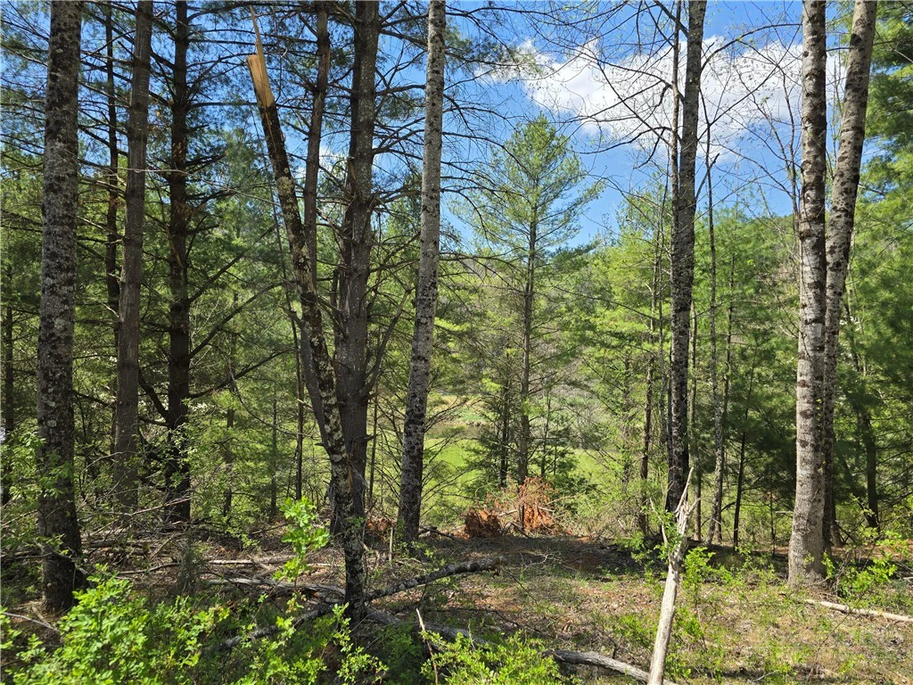 Image number 6 for the current listing