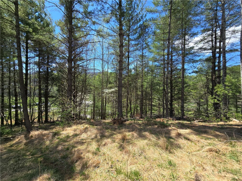 Image number 5 for the current listing