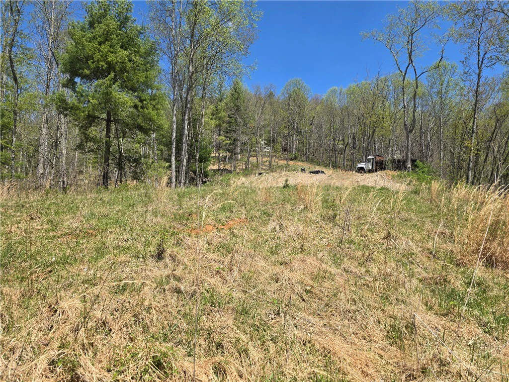 Image number 4 for the current listing