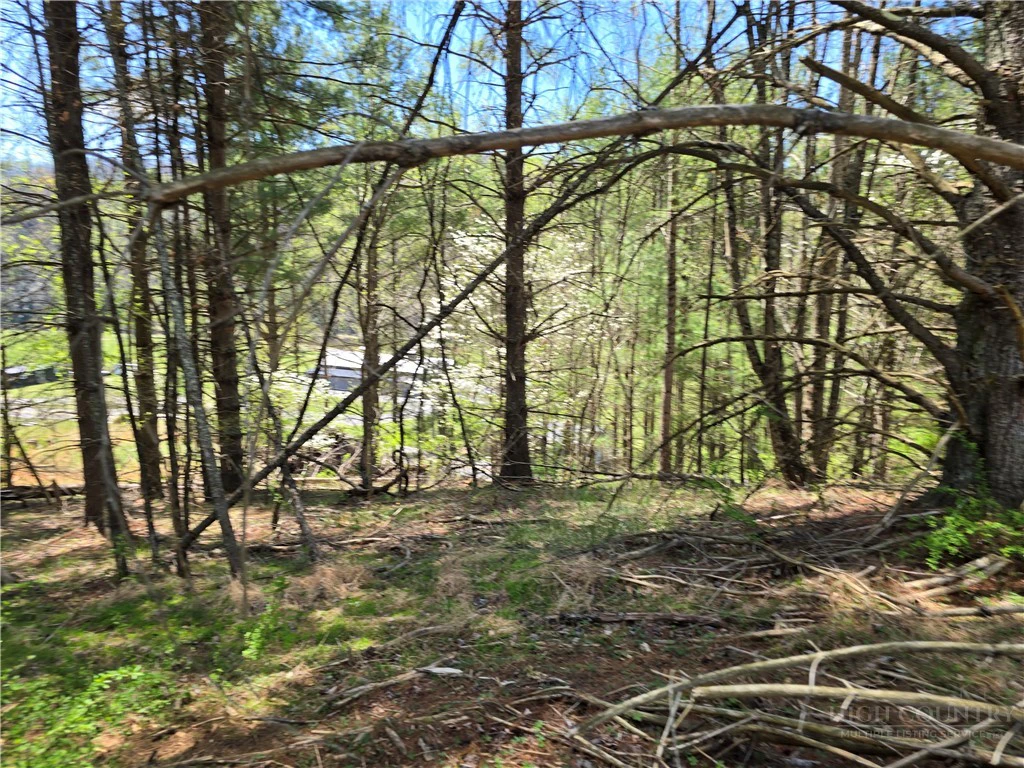 Image number 3 for the current listing