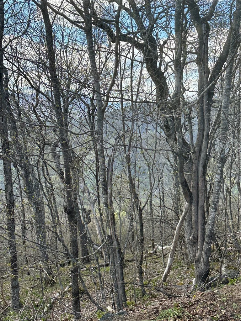Image number 2 for the current listing