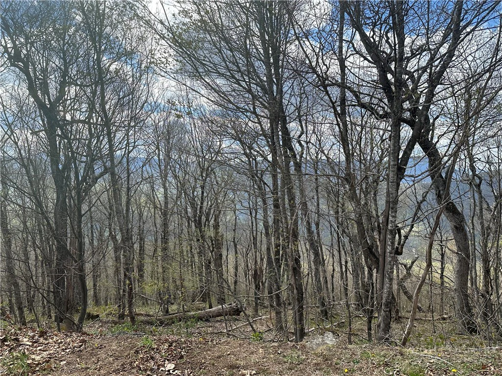Image number 3 for the current listing
