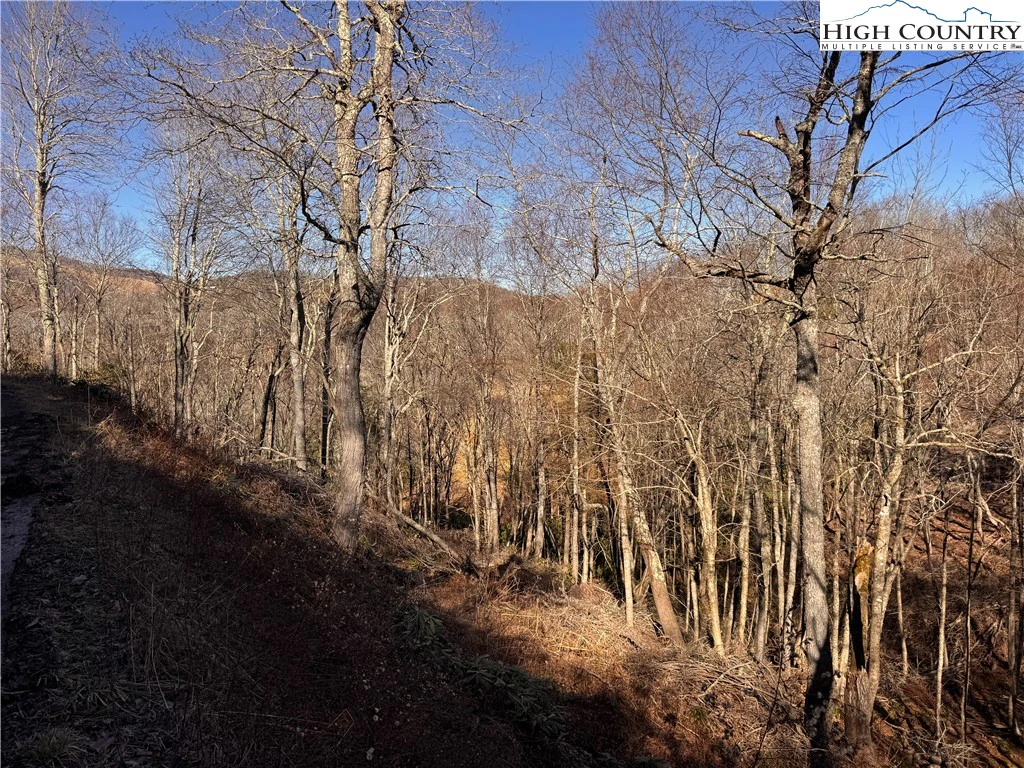 Image number 4 for the current listing