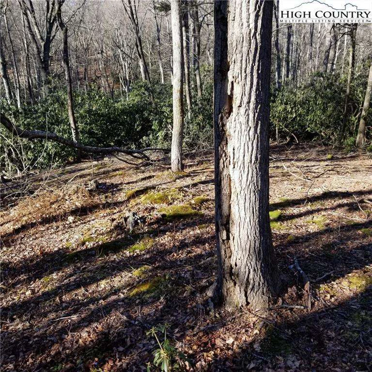 Image number 7 for the current listing