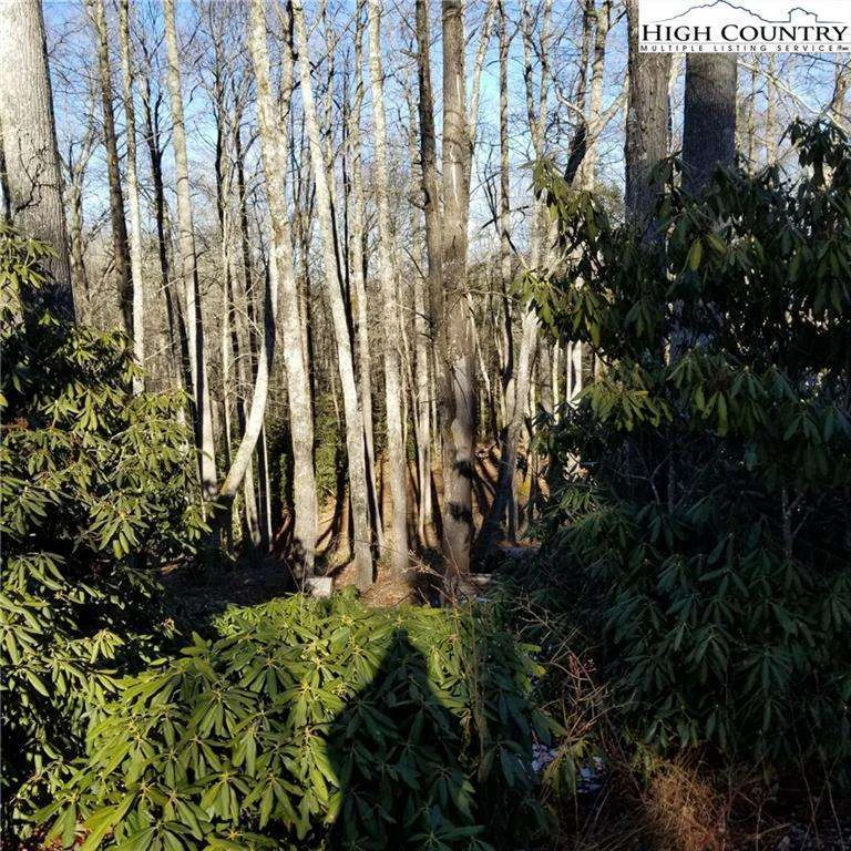 Image number 8 for the current listing