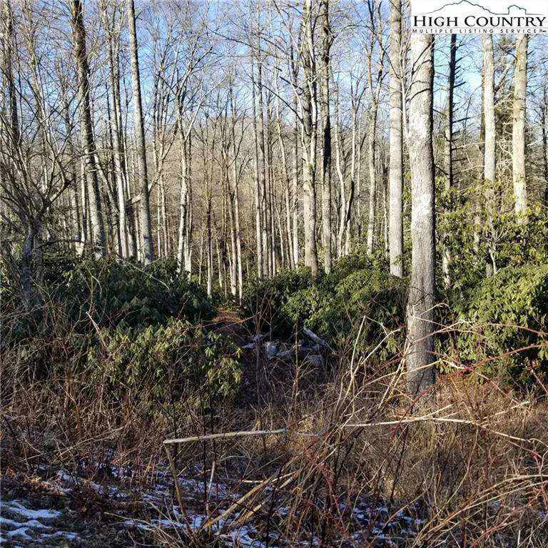 Image number 9 for the current listing