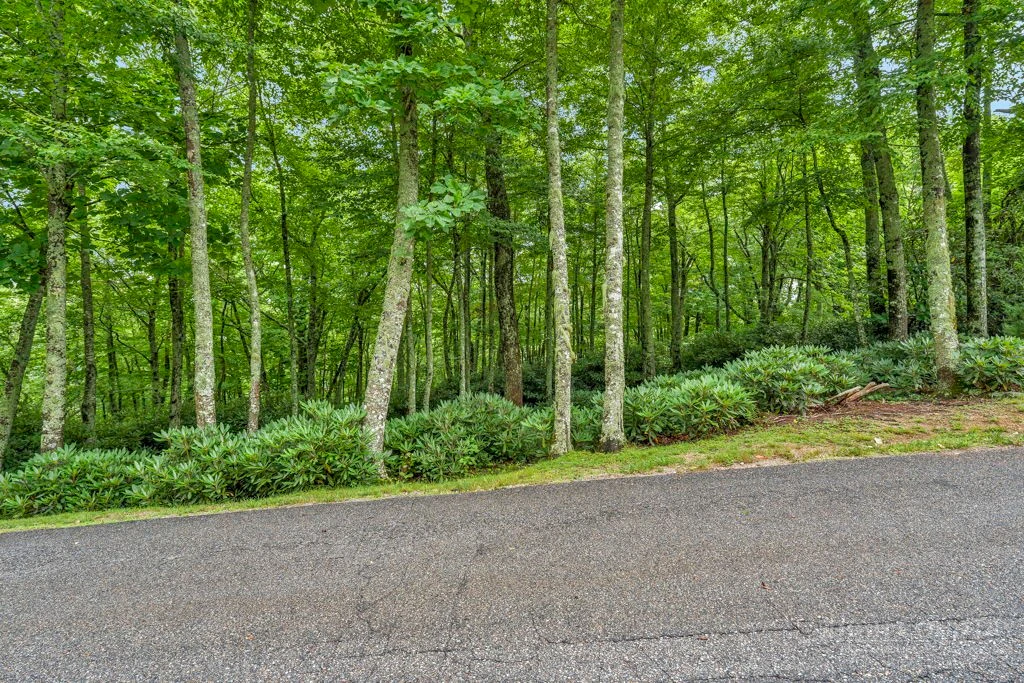 Image number 1 for the current listing