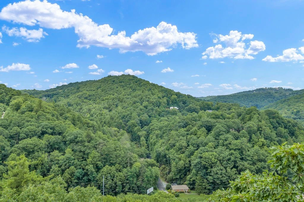 Image number 2 for the current listing