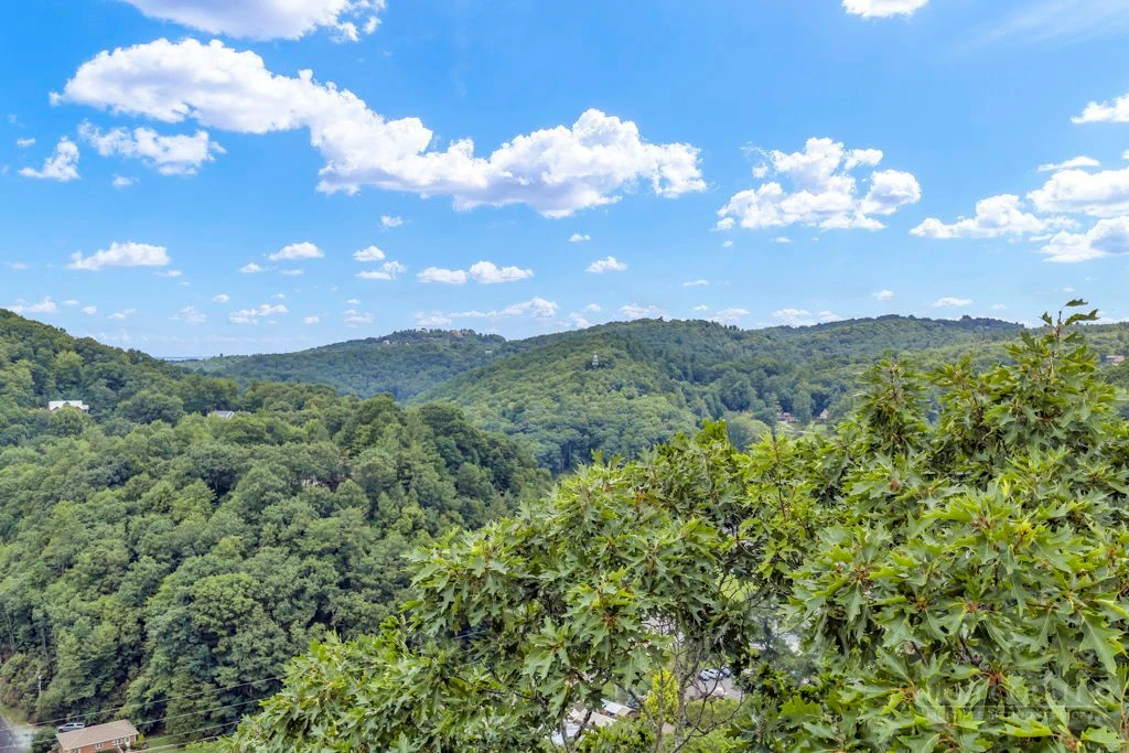Image number 3 for the current listing