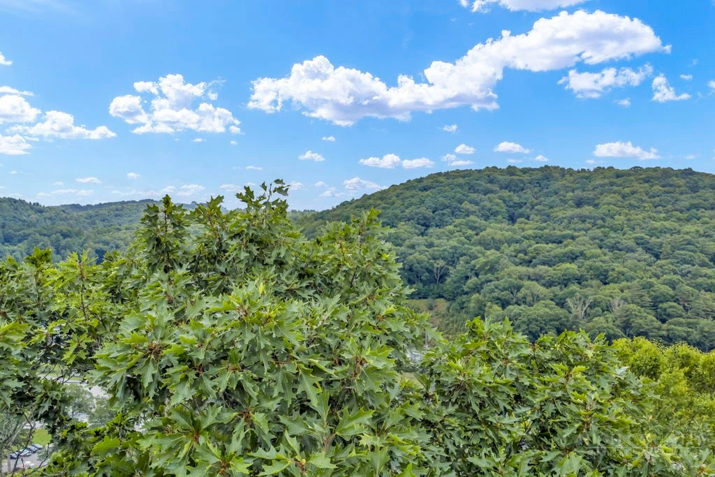 Image number 4 for the current listing