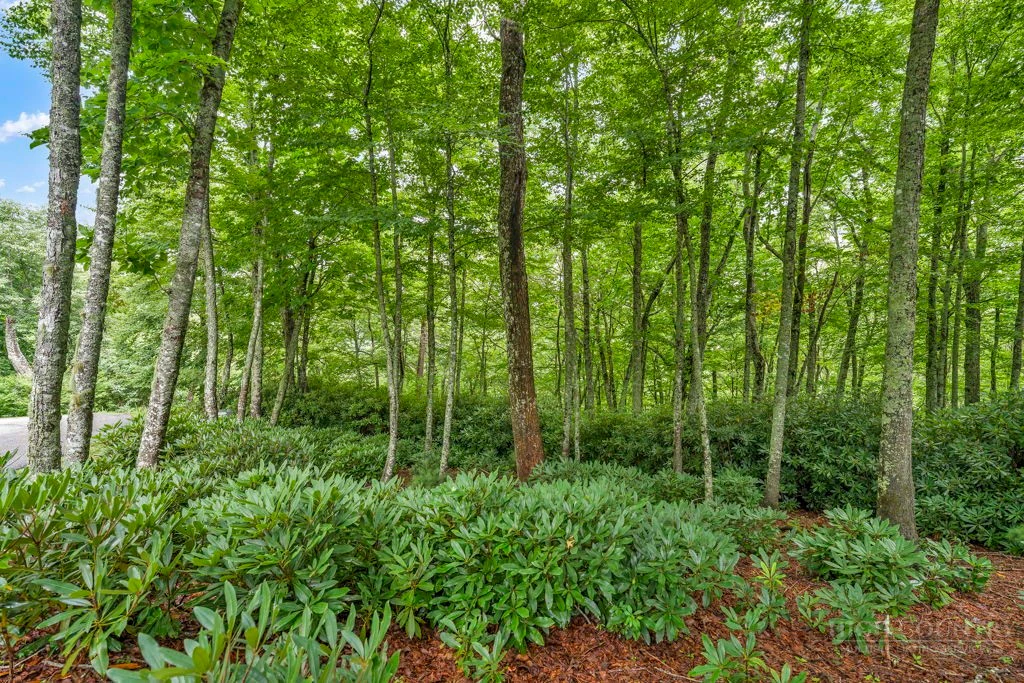 Image number 6 for the current listing
