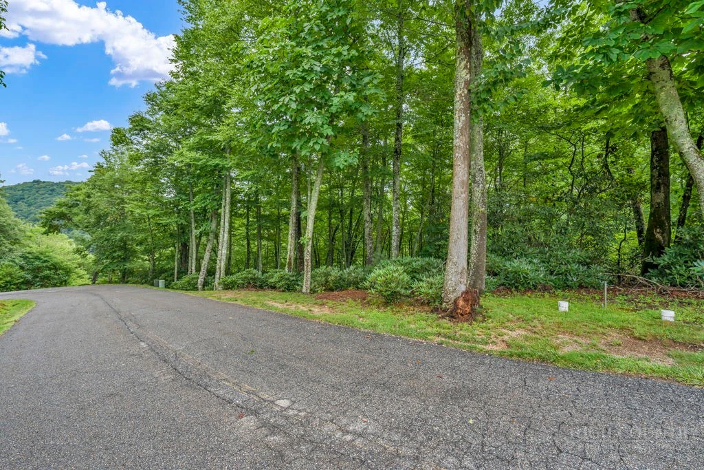 Image number 15 for the current listing