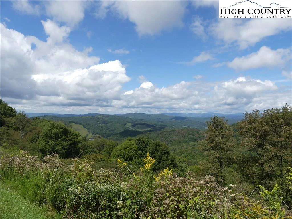 Image number 1 for the current listing