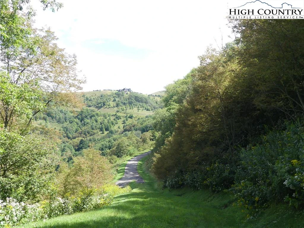 Image number 12 for the current listing