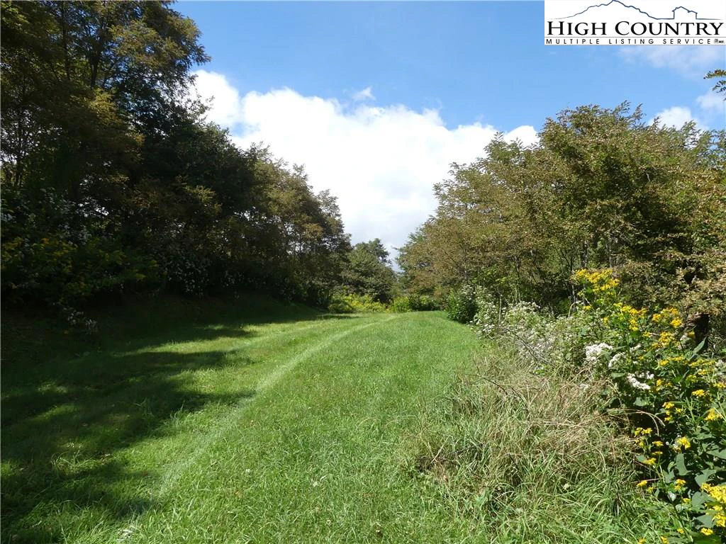 Image number 13 for the current listing