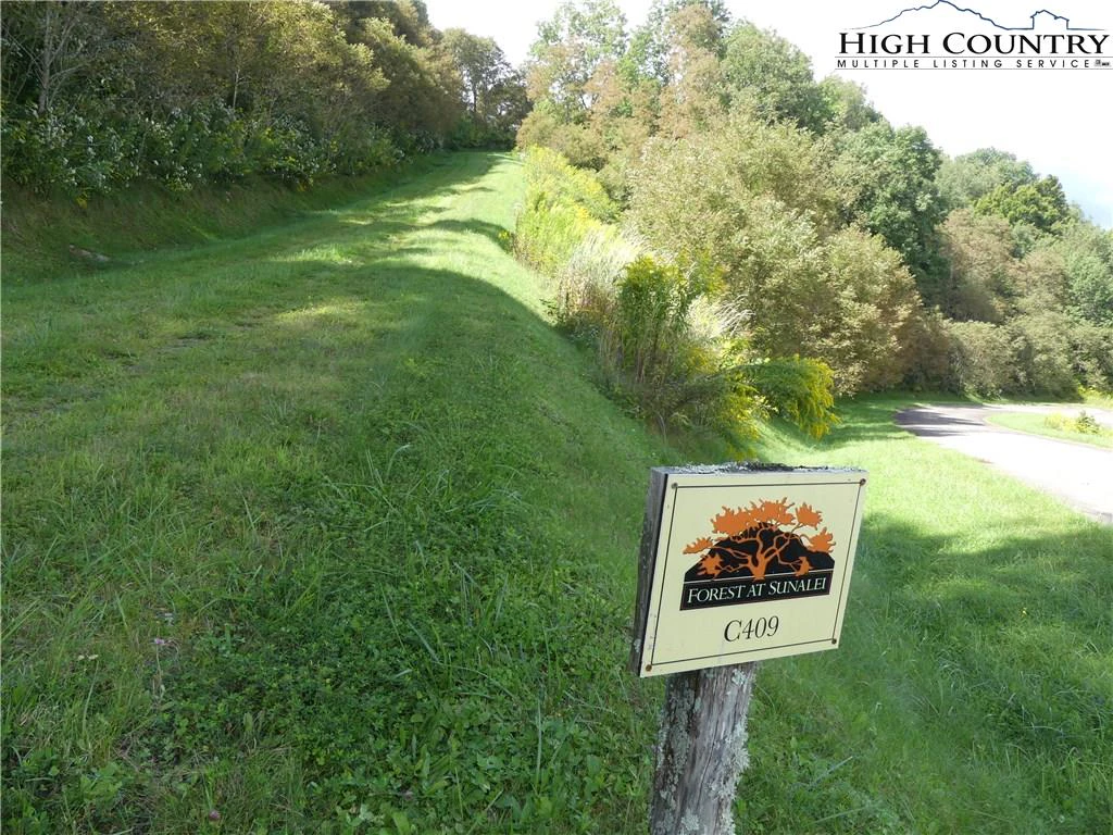 Image number 15 for the current listing