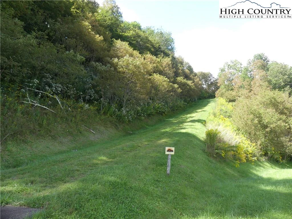 Image number 3 for the current listing