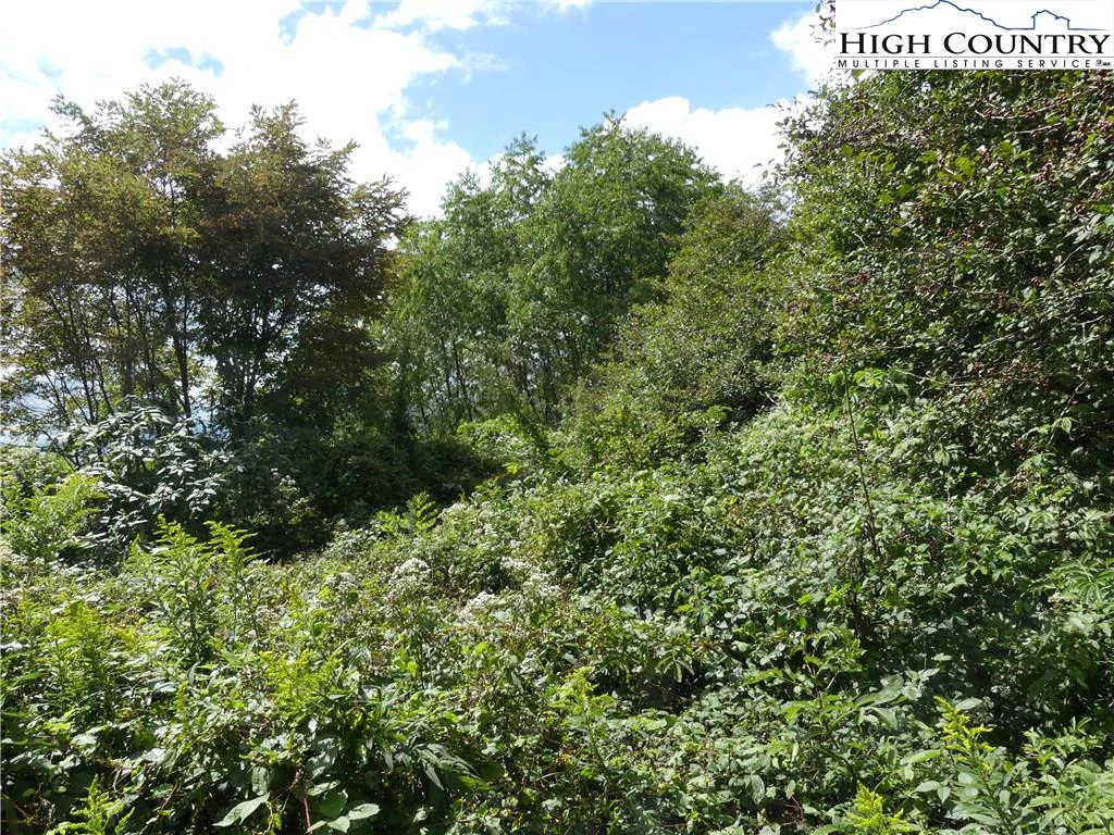 Image number 6 for the current listing