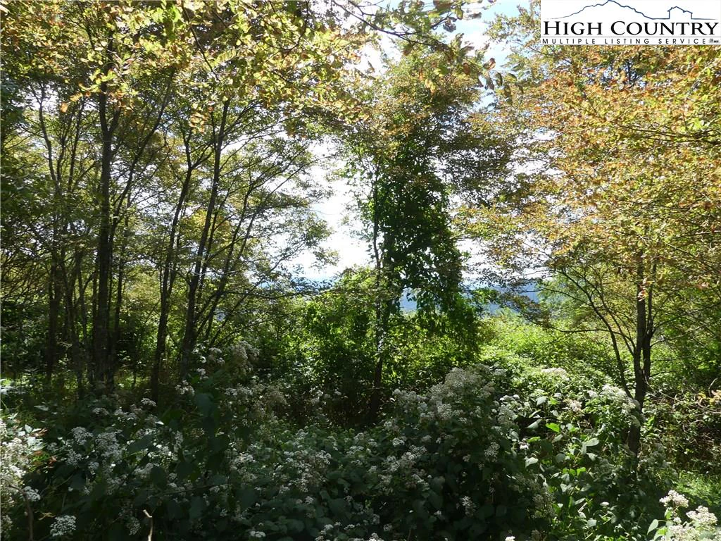Image number 7 for the current listing