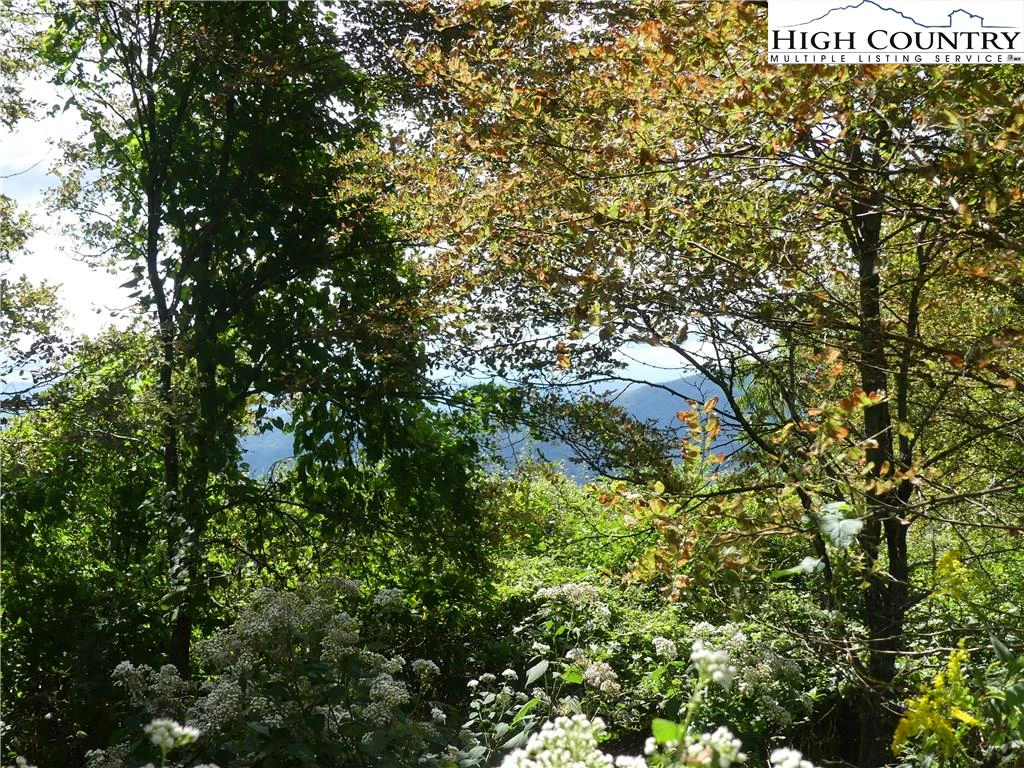Image number 8 for the current listing
