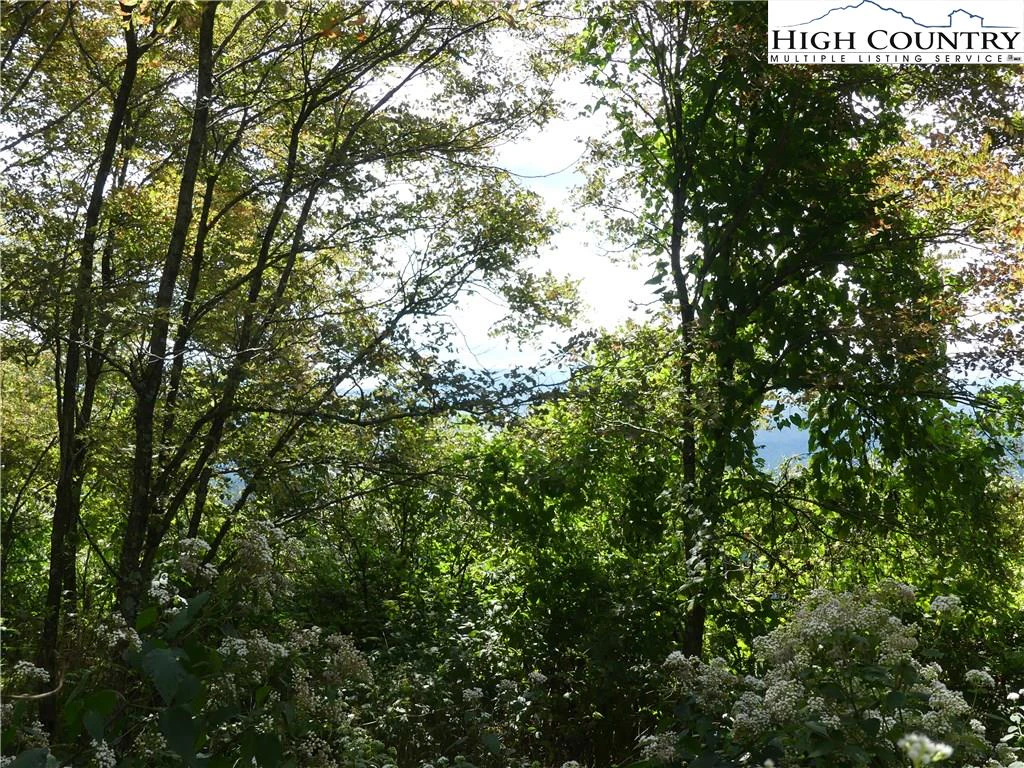 Image number 9 for the current listing