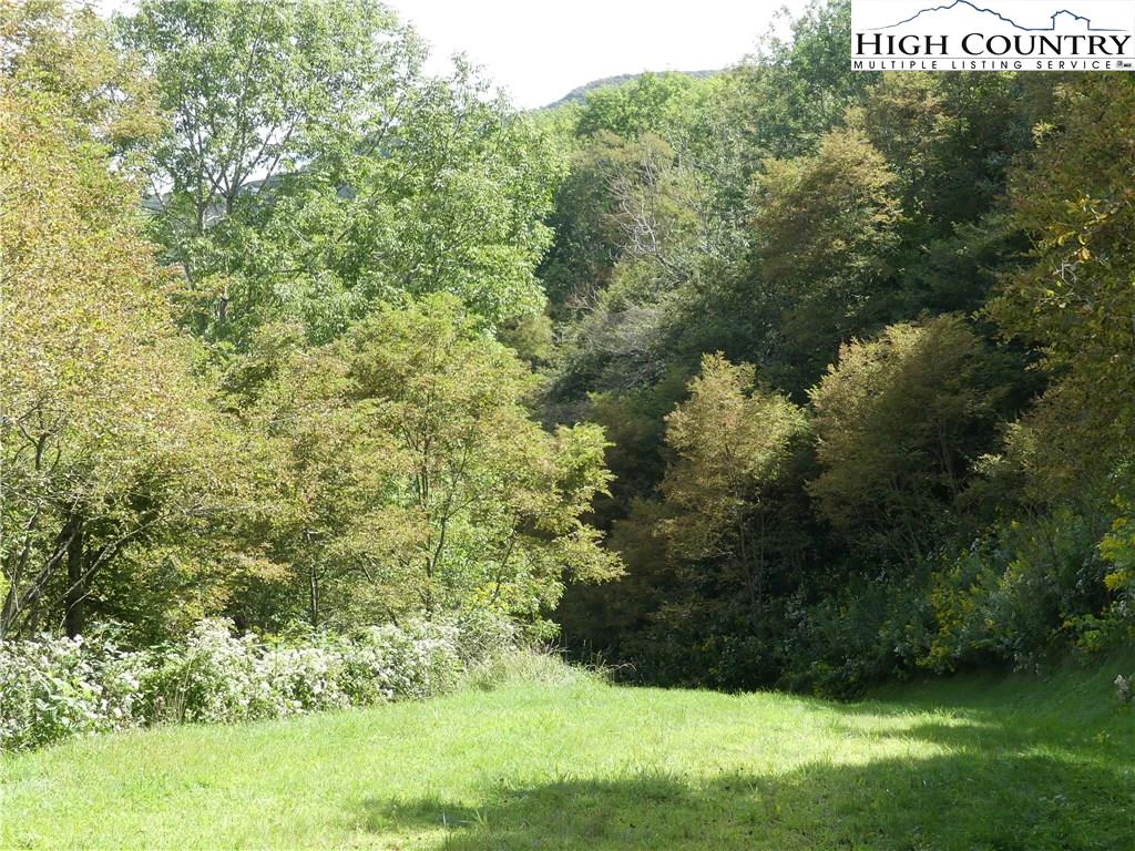 Image number 10 for the current listing