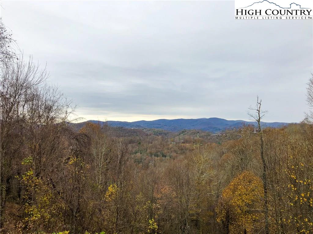 Image number 1 for the current listing
