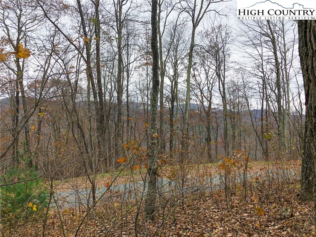 Image number 19 for the current listing