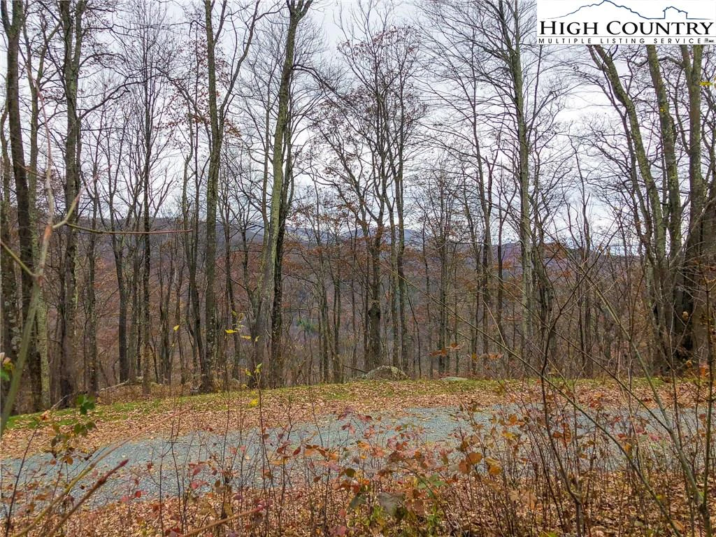 Image number 18 for the current listing