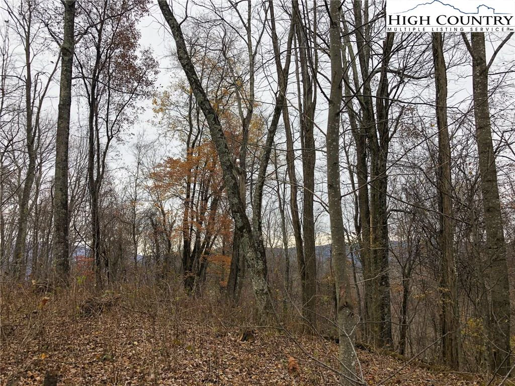 Image number 16 for the current listing