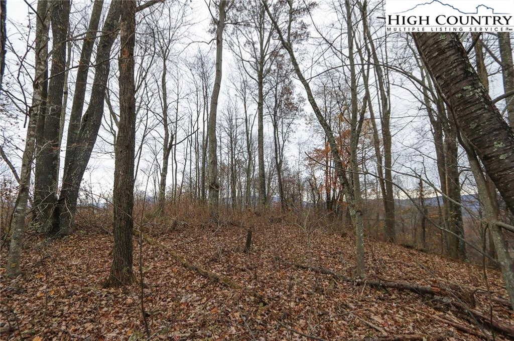 Image number 2 for the current listing