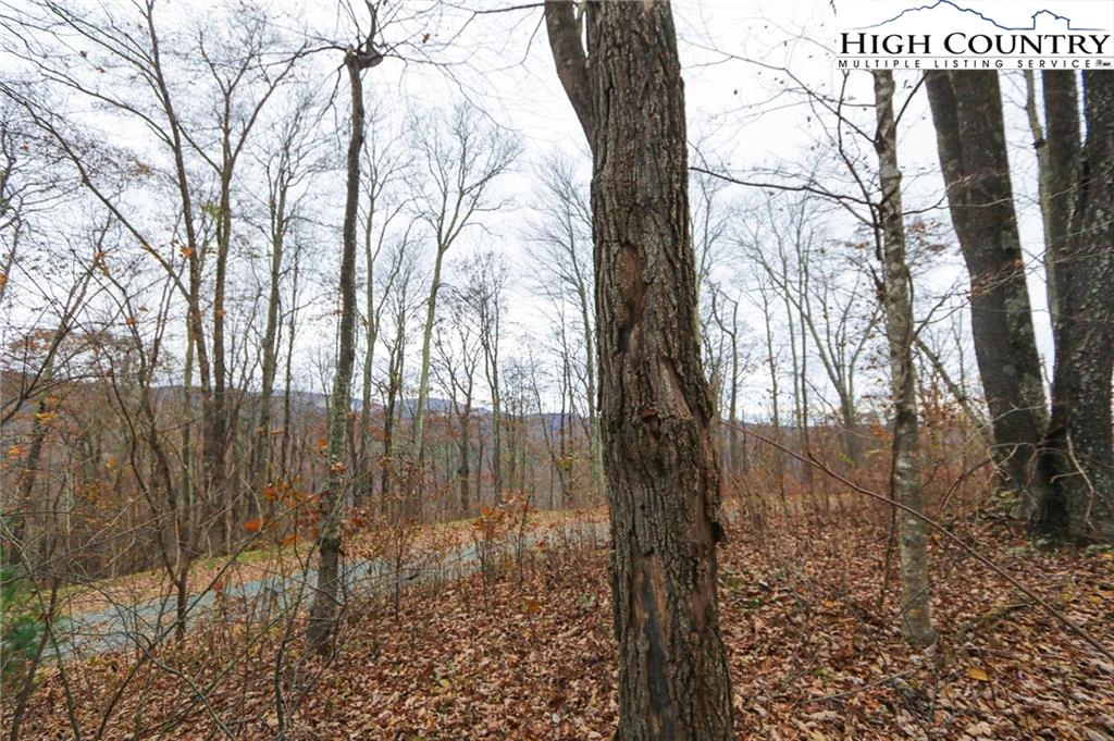 Image number 15 for the current listing