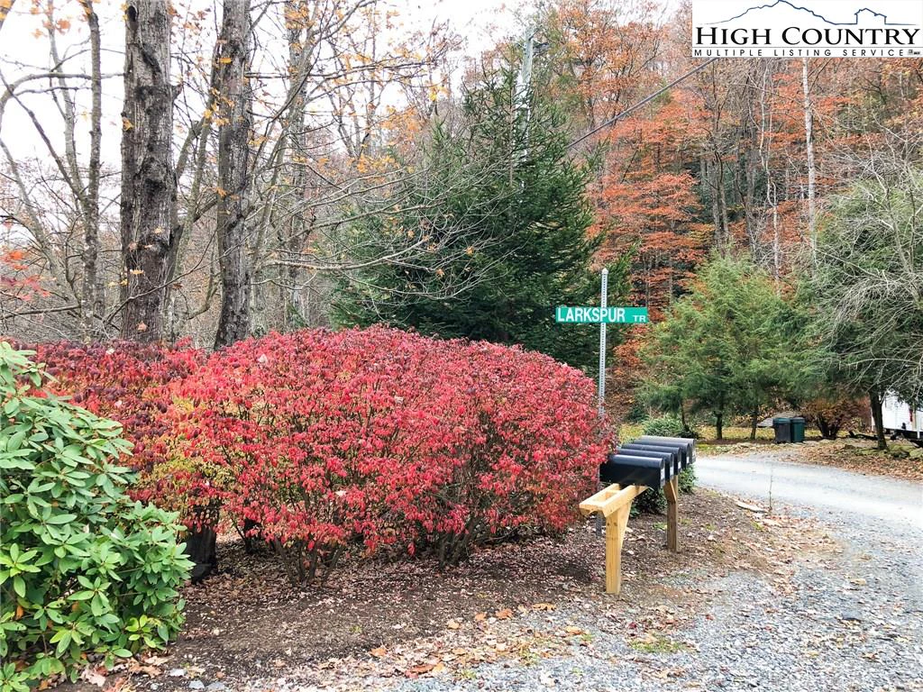 Image number 12 for the current listing