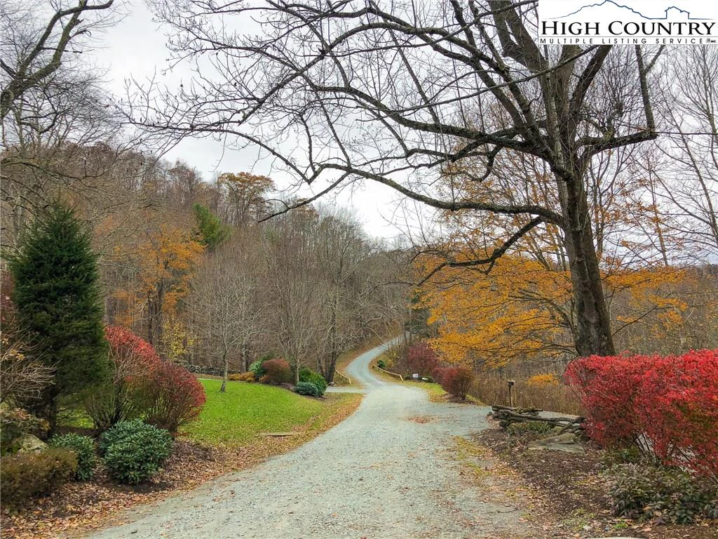 Image number 11 for the current listing