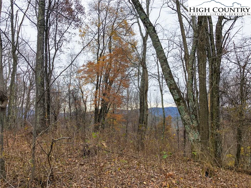 Image number 21 for the current listing