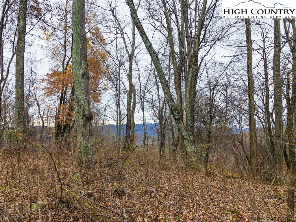 Image number 20 for the current listing