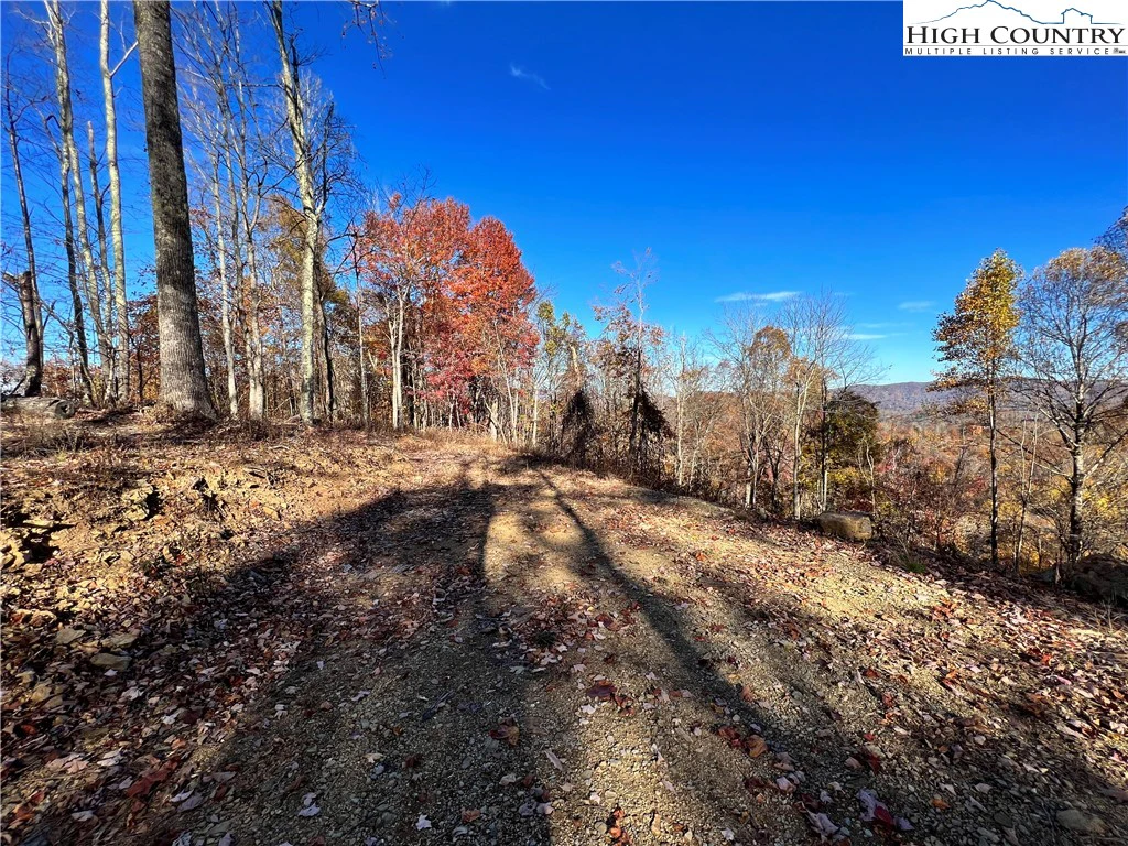 Image number 3 for the current listing