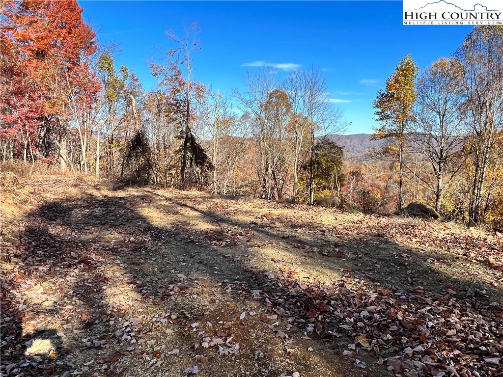 Image number 5 for the current listing