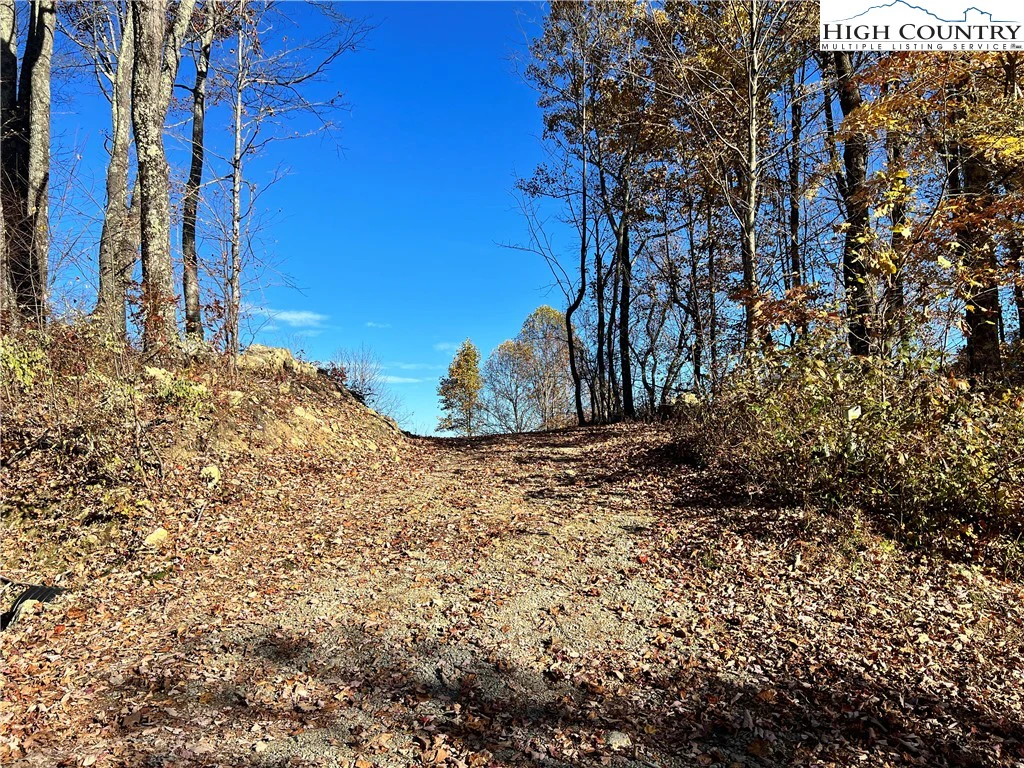 Image number 6 for the current listing