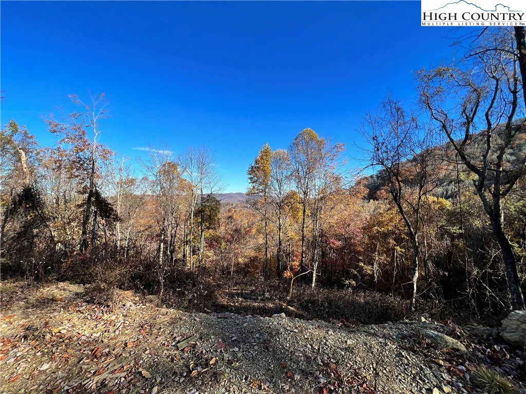 Image number 10 for the current listing