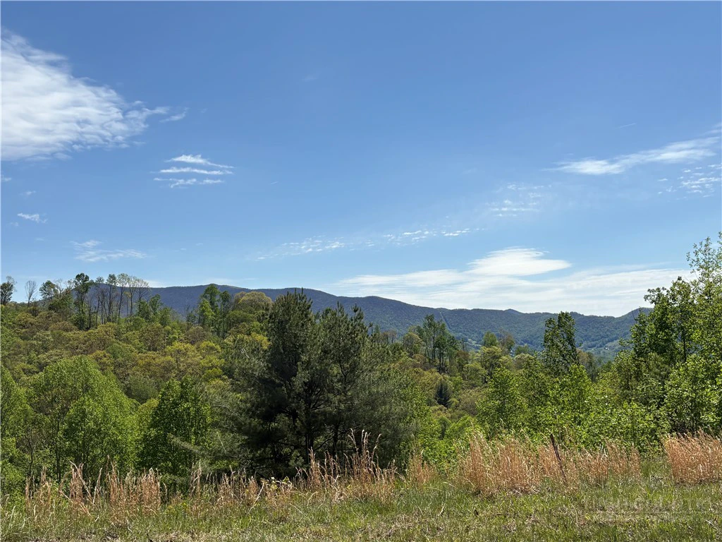 Image number 4 for the current listing