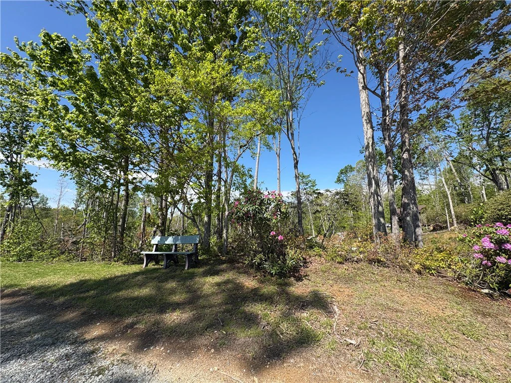 Image number 5 for the current listing